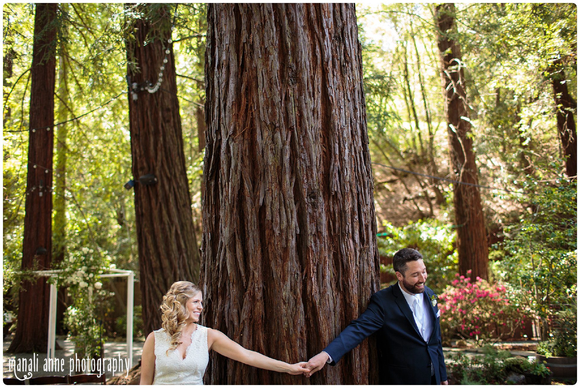 Bride and groom hold hands around a towering redwood at Deer Park Villa