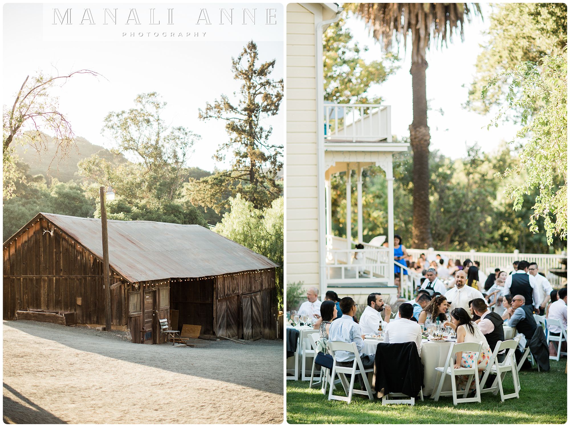 Barn wedding bay area,CA,Picchetti Winery Wedding Photos* Cupertino,near palo alto,outdoor wedding venue south bay,