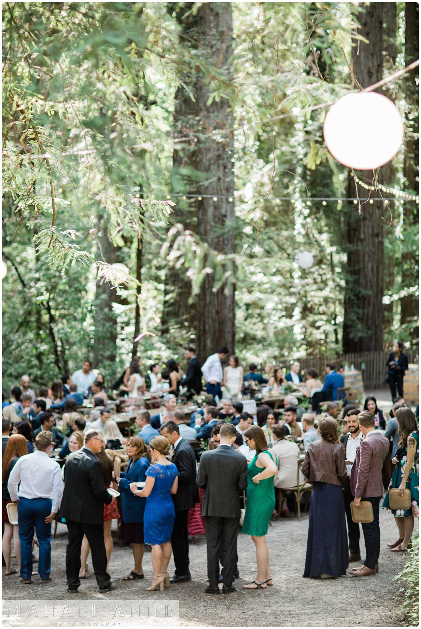Griffith Woods Wedding, Santa Rosa