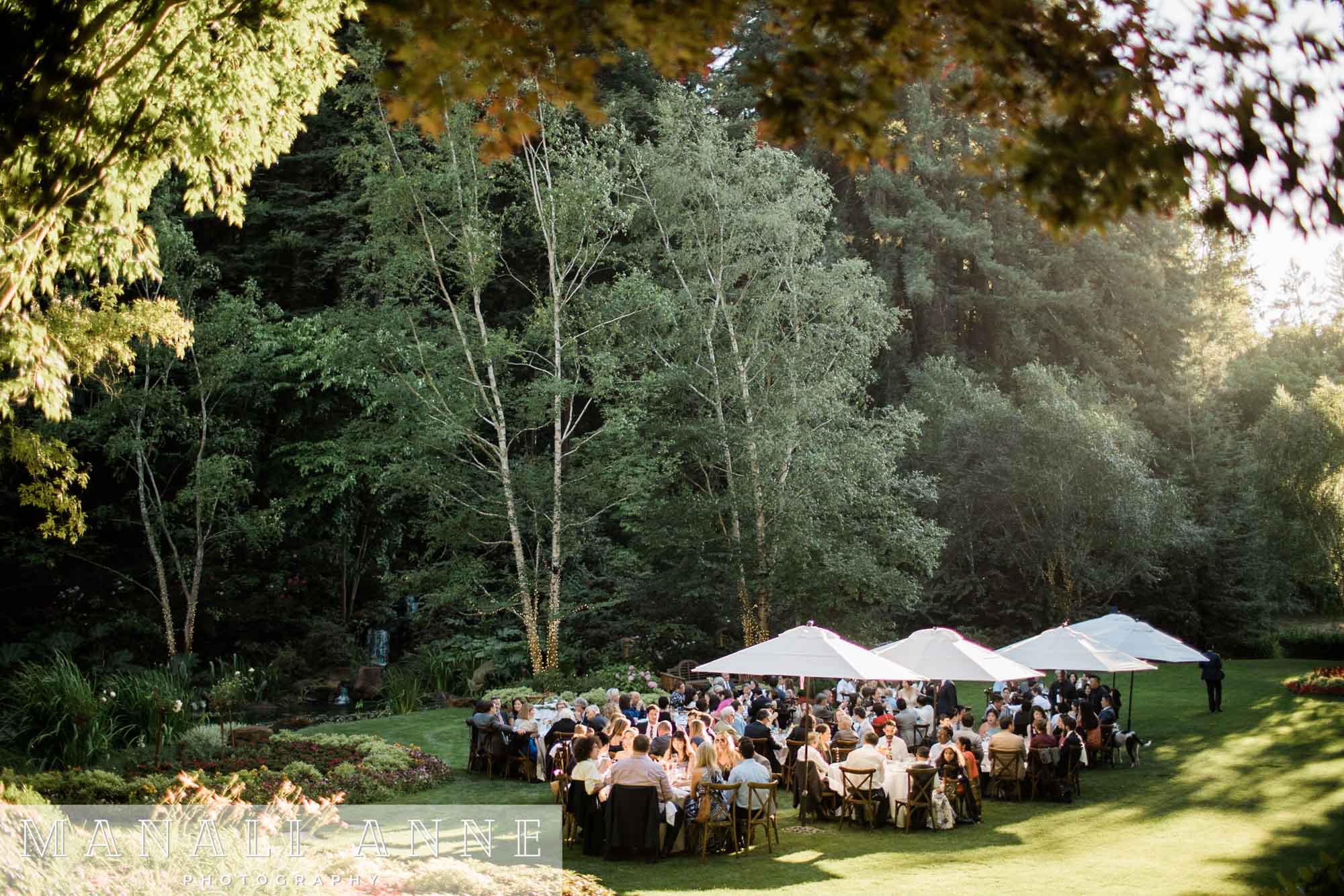 Nestldown Wedding Reception on lawn, Los Gatos, Santa Cruz