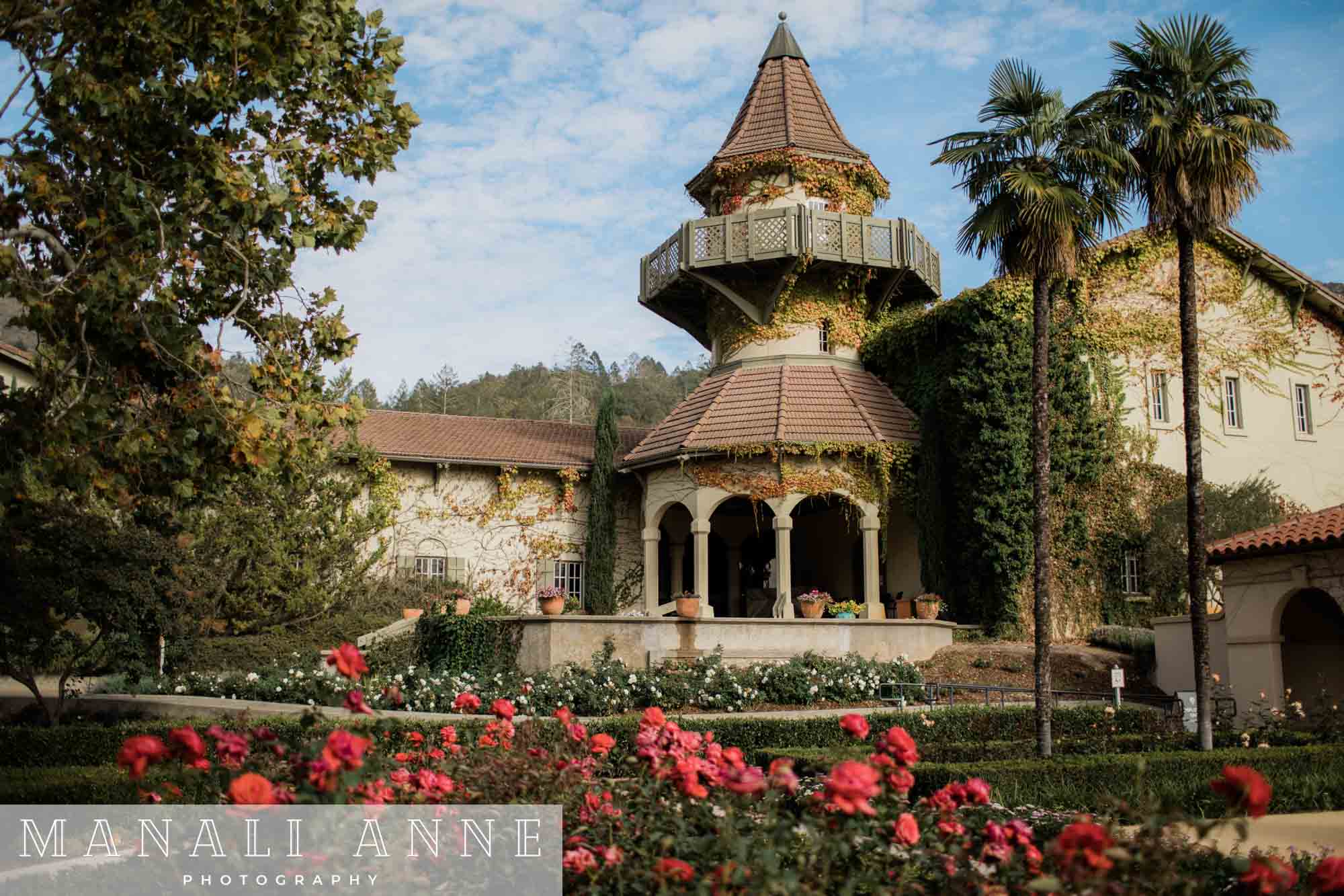 Wedding at Chateau St. Jean Winery, Kenwood, CA