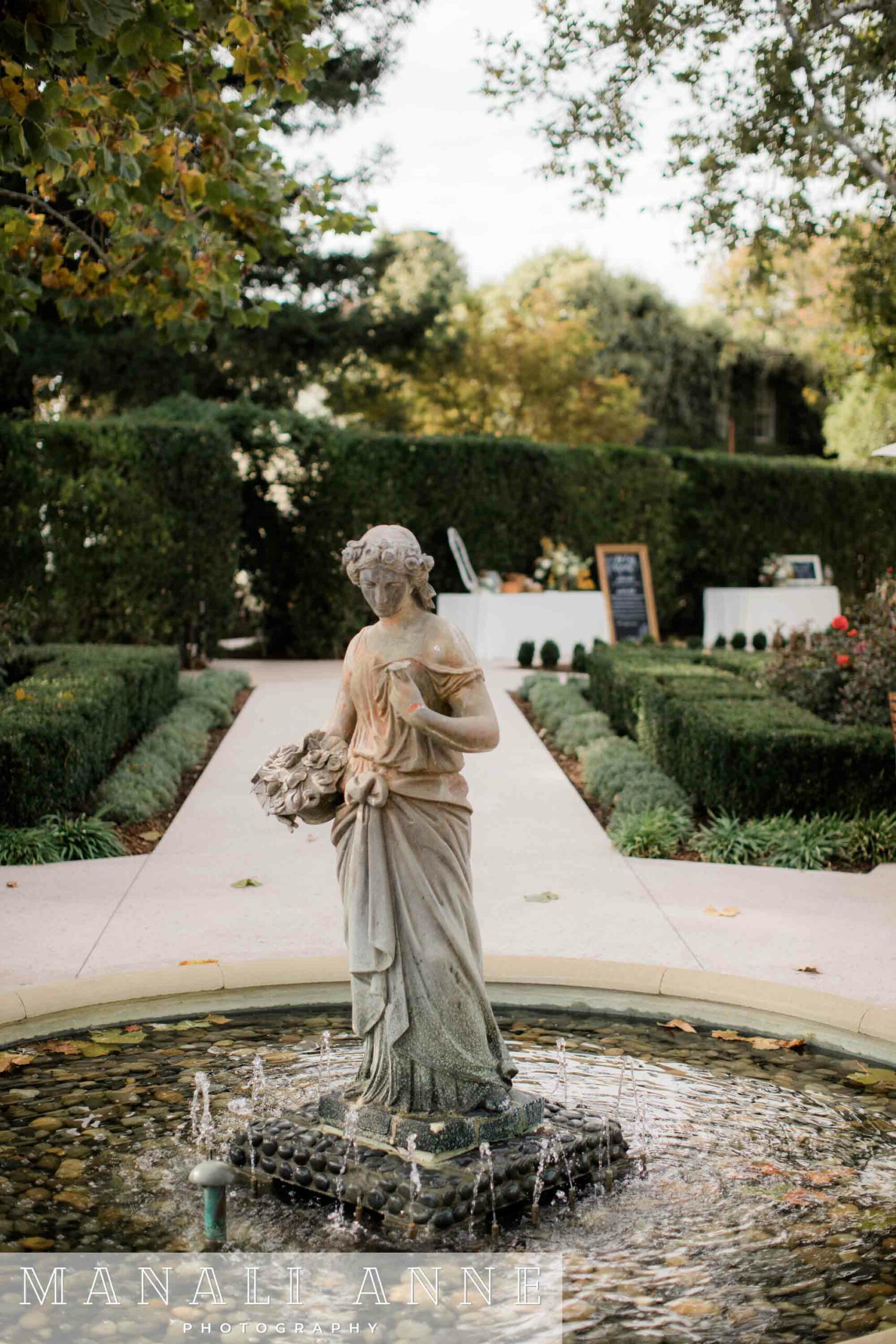 Wedding at Chateau St. Jean Winery, Kenwood, CA