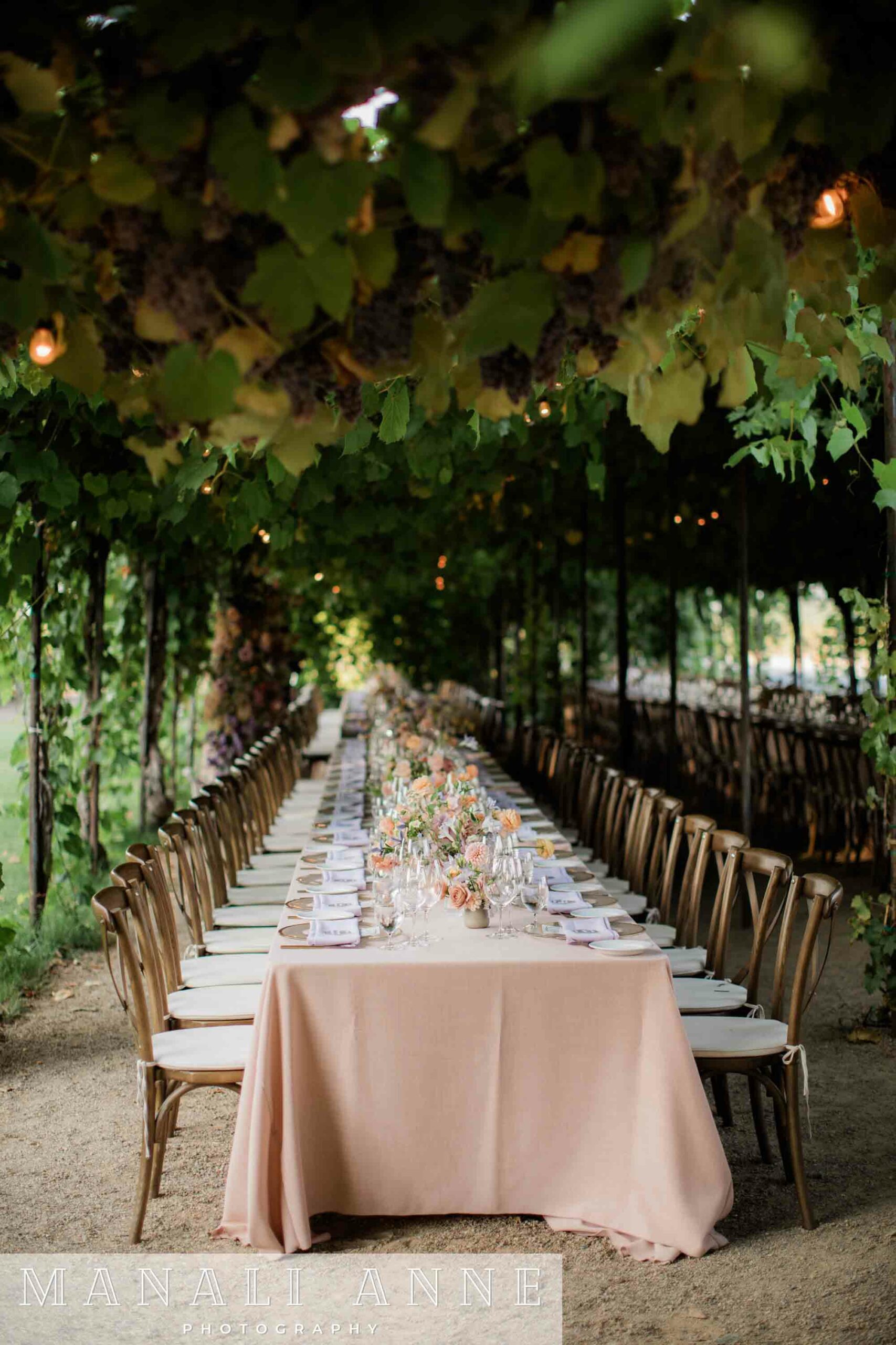 San Francisco wedding photographer,  Sonoma Wedding, Wine Country Wedding, Sonoma Wedding Photographer, Trentadue Winery Wedding, Wedding Photography Inspiration, Grape Arbor