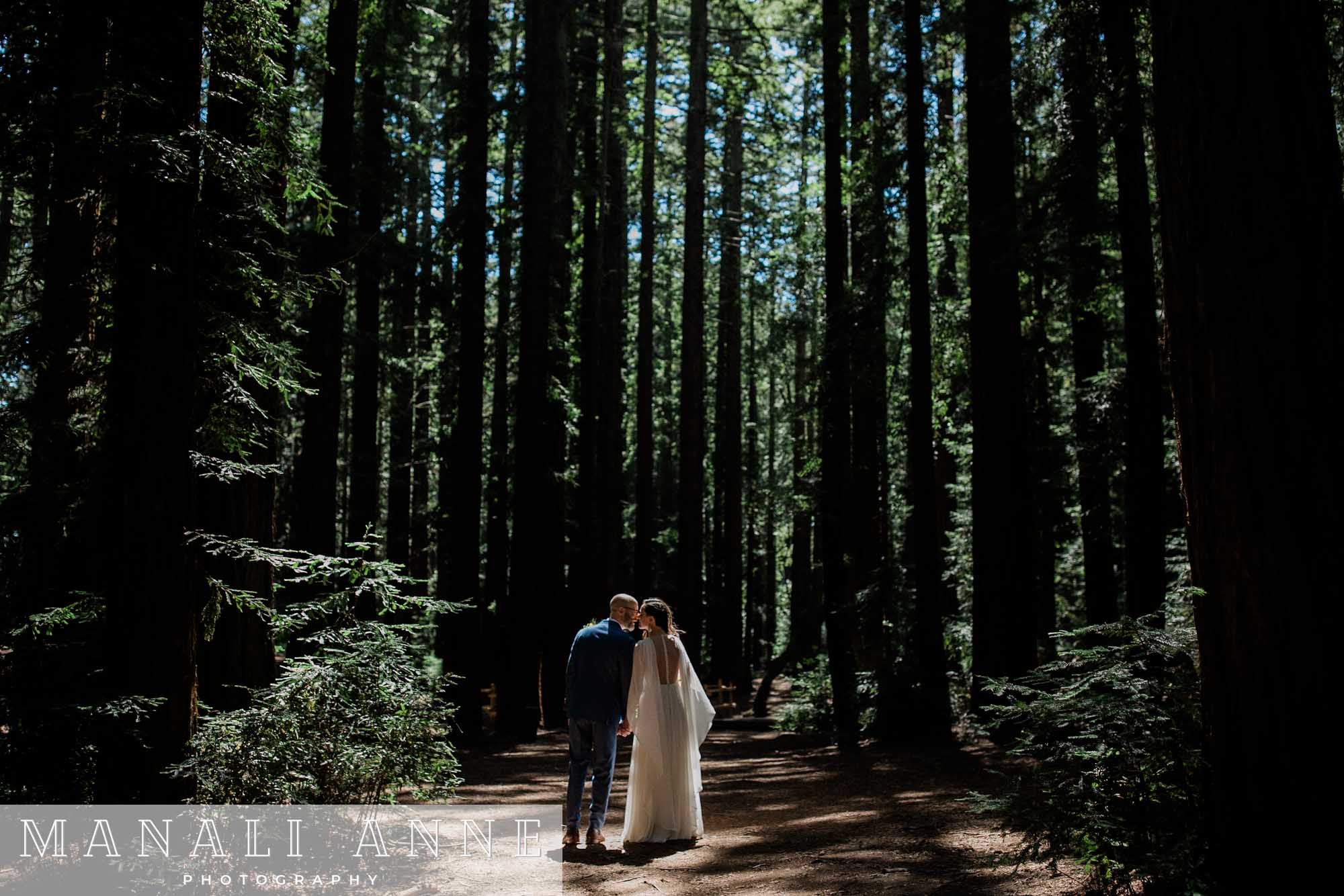 A wedding couple in the sunlit forest at Joaquin Miller Park, Oakland, California