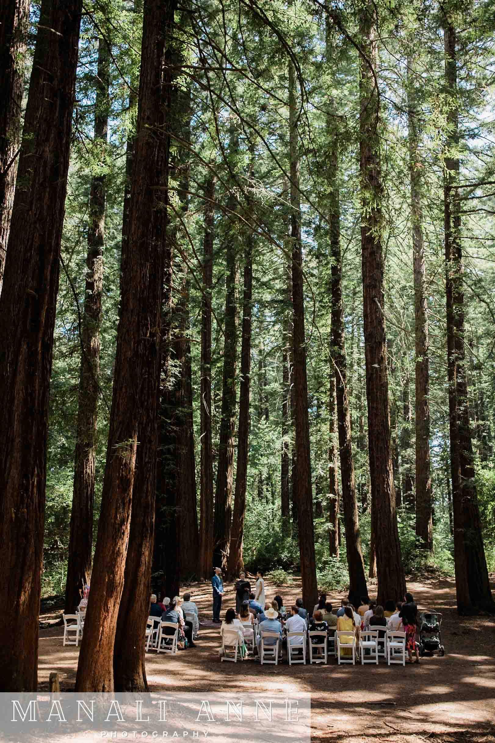 A couple gets married in the redwood forest in Oakland, CA at Joaquin Miller Park